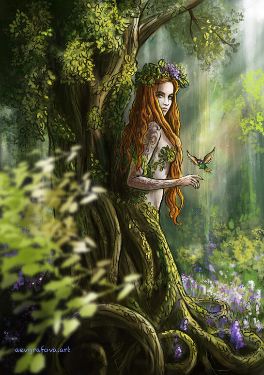 Dryad