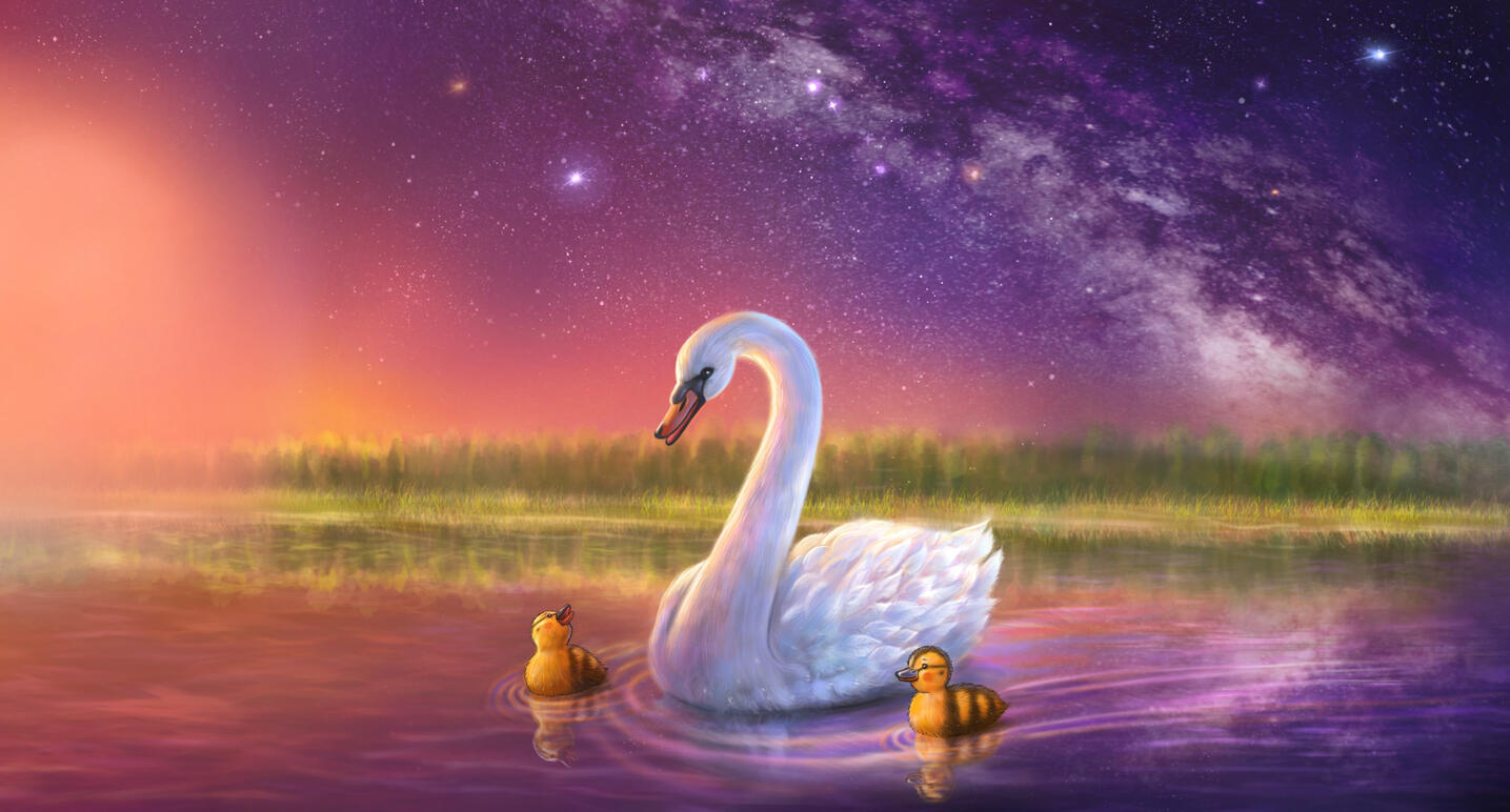 Swan - full-spread book illustration