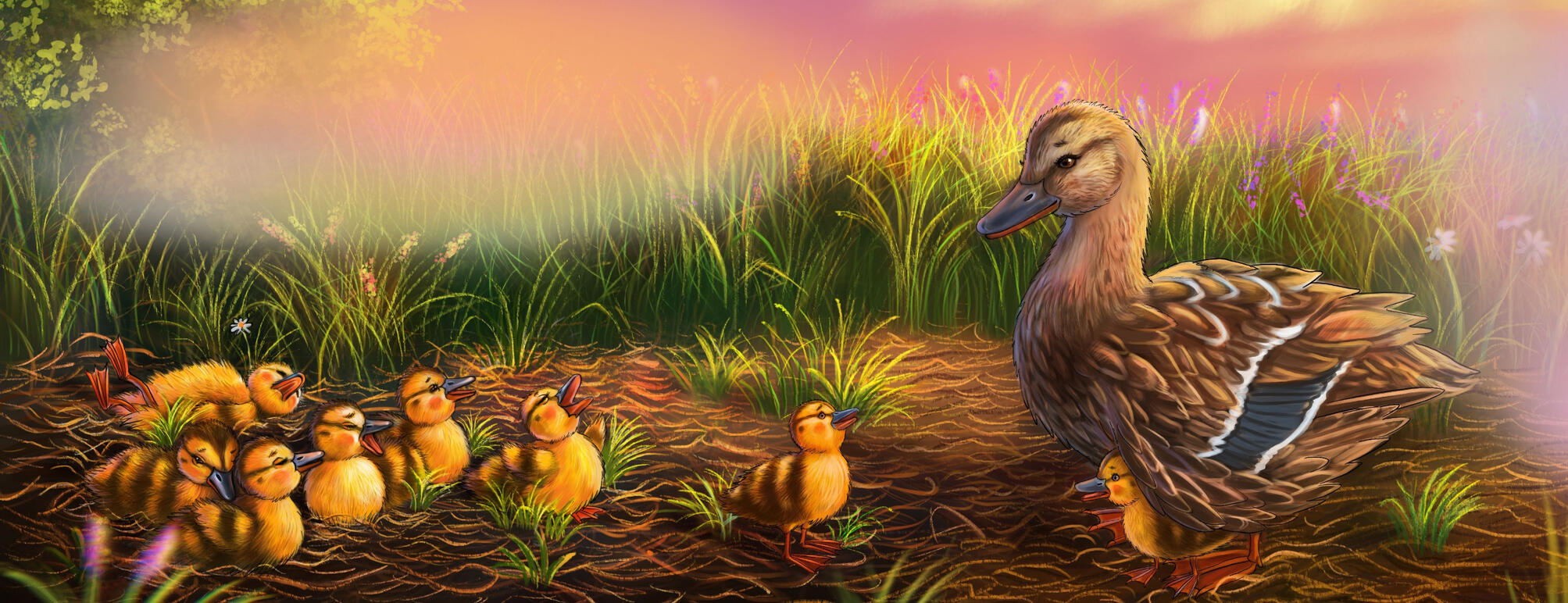 Duck Family - book full-spread illustration